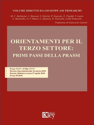 cover image of Orientamenti per il Terzo settore